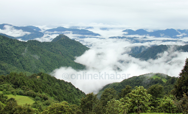 Rolpa-okhreni-bata-dharm-pa