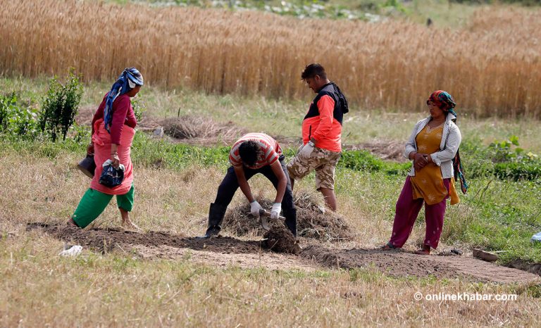 संकटोन्मुख कृषि क्षेत्र : आन्तरिक सुरक्षा र बाह्य चुनौती