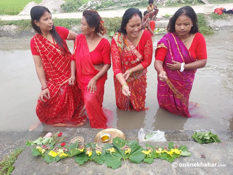 थारू समुदायका महिलाहरुको खर जितिया सुरु