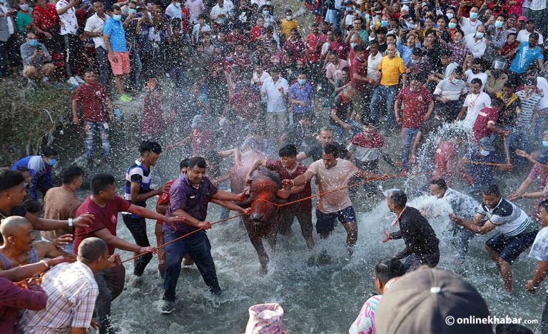 भक्तपुरमा मनाइयो राँगो दौडाउने जात्रा