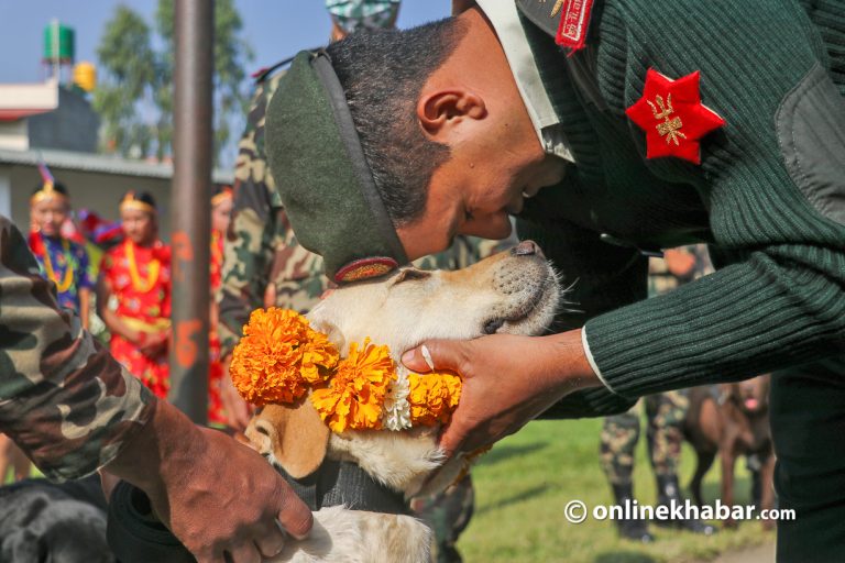 सैनिक कुकुरको पूजा (फोटो फिचर)