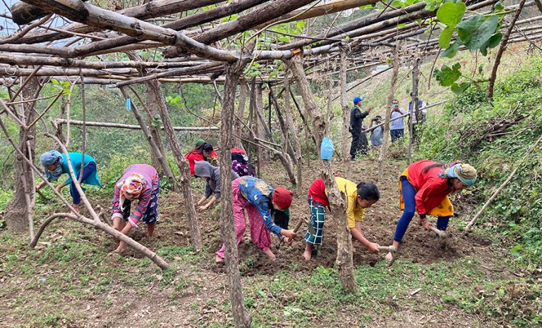 विद्यालयमा व्यावहारिक ज्ञान दिन किबी खेती