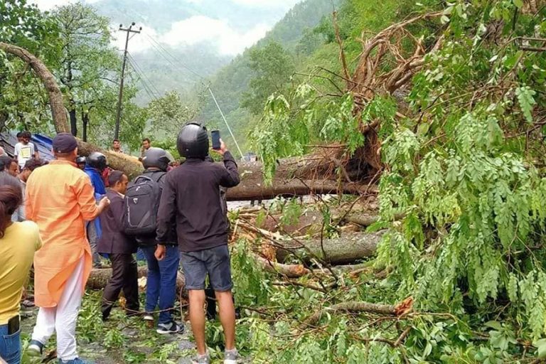 हावाहुरीले रूख ढाल्दा मुग्लिन-काठमाडौं सडकखण्ड अवरूद्ध