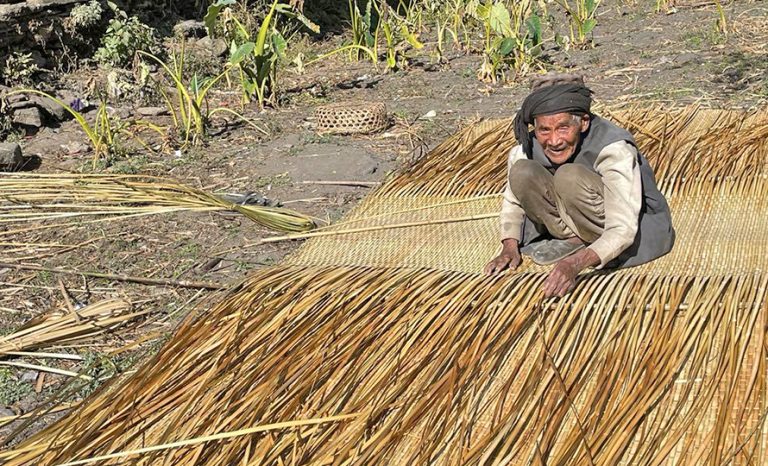 बुढ्यौलीलाई जितेका १०५ वर्षीय पनाजु पुर्जा