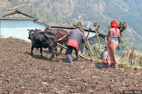 माटो बिर्सेको सरकार