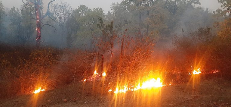 चुरे क्षेत्रका वन डढेलोले सखाप