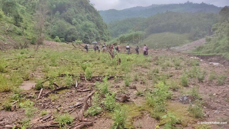 ९६ प्रतिशत किसान बीमा पहुँचबाट बाहिरै