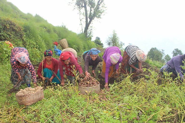 म्याग्दीमा हराउन थाल्यो पर्मको परम्परा