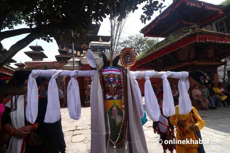 आज गाईजात्रा पर्व मनाइँदै, बागमती प्रदेशभर सार्वजनिक बिदा