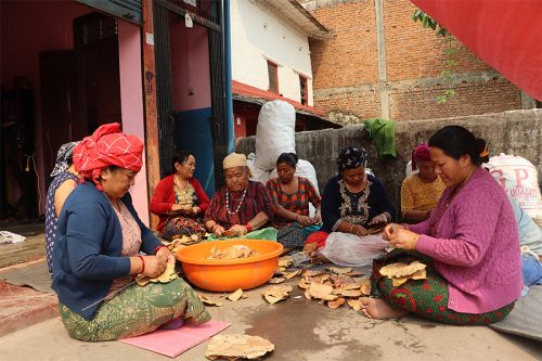 १५ लाखका बङ्‌गुर मरेपछि दुनाटपरी खुट्न थाले आमाहरु