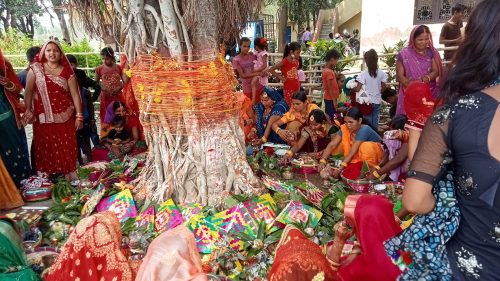 मिथिलाञ्चलमा आज वटसावित्री पर्व मनाइँदै