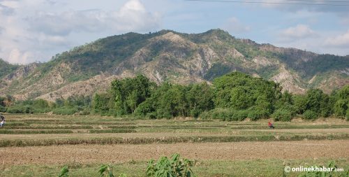 धनुषामा ८३७ हेक्टर वनको जमिन अतिक्रमण