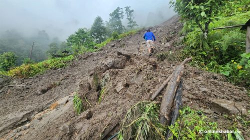 ताप्लेजुङमा बाढीपहिरोबाट ८१ परिवार विस्थापित