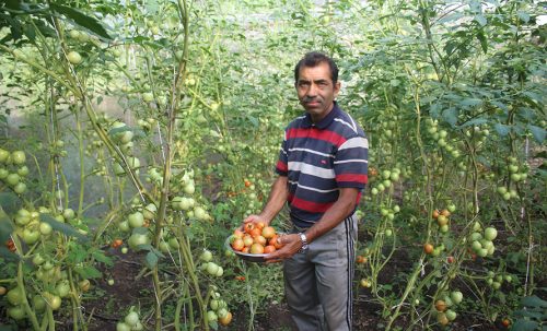 म्याग्दीमा कृषि उपज बिक्री नहुँदा किसान हैरान