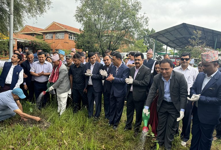 विद्युत् प्राधिकरणका देशभरका कार्यालयमा वृक्षरोपण