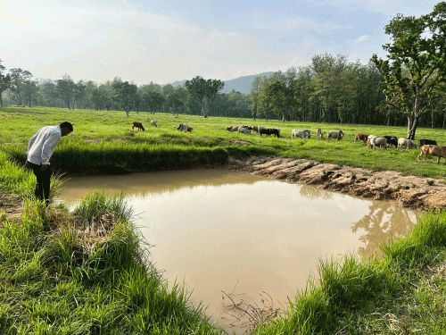 कैलालीमा वन्यजन्तुका लागि जंगलमै पोखरी