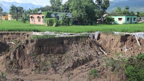 बाढीले नहर भत्किँदा धानखेतमा क्षति