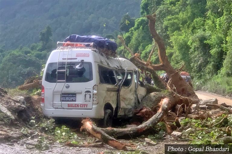 धादिङमा गुडिरहेको माइक्रो बसमाथि रुख ढल्यो, ७ यात्रु घाइते