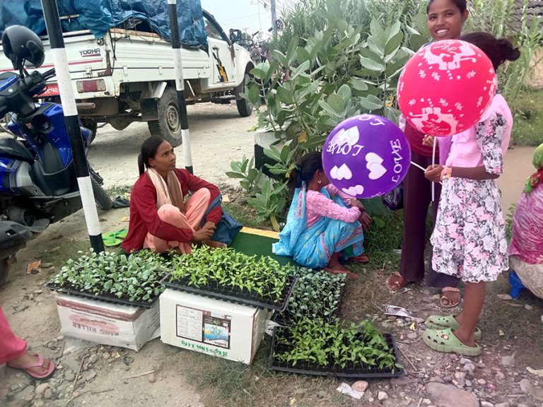 सागसब्जीका बेर्ना बेचेरै लाखौं कमाइ