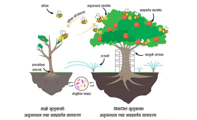 किन चाहिन्छ वैज्ञानिकहरूको राष्ट्रिय अनुसन्धान परिषद् ?