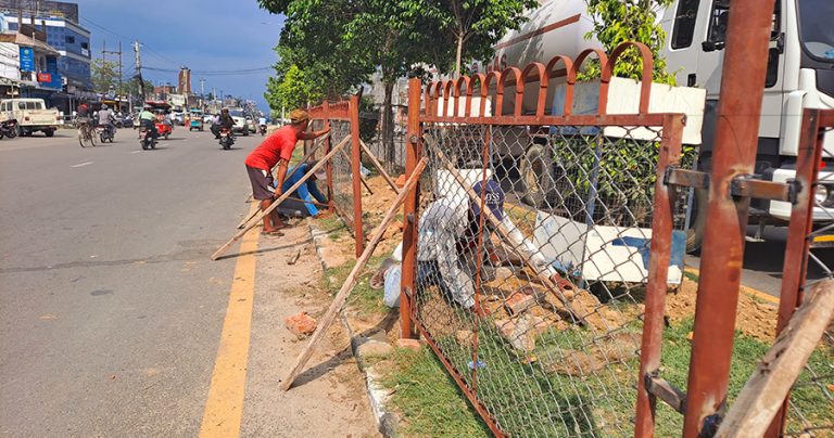 बाँकेमा सडकका बीचका बिरुवा जोगाउन तारजाली