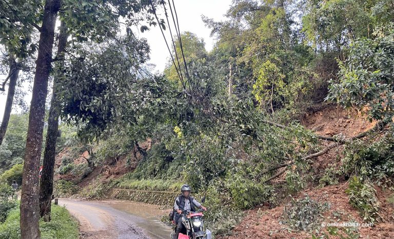 बाढीपहिरोले टेलिफोन र इन्टरनेट सेवा प्रदायकको करिब ३० करोडको क्षति