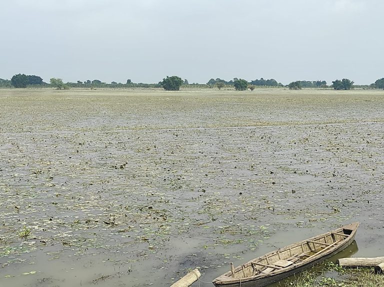 बाढीपीडित किसानको गुनासो–स्याहार्ने बेलाको धान बाढीले लग्यो, अब के गर्ने थाहा छैन